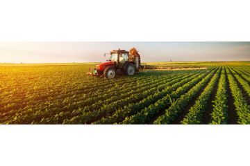 BANDO DI GARA PER ASSEGNAZIONE N. 3 LOTTI DI TERRENI AGRICOLI DI PROPRIETA&#39; COMUNALE